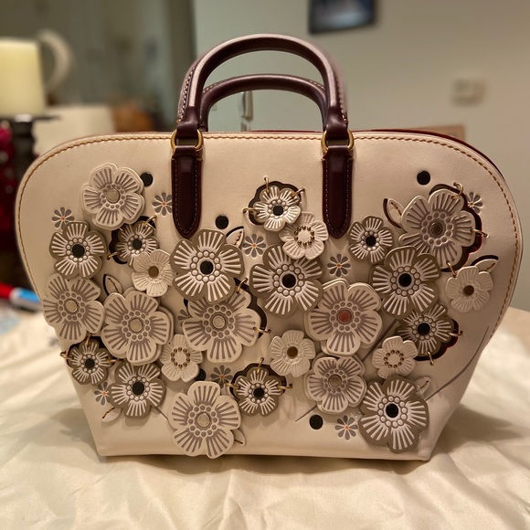 coach fruit wristlet